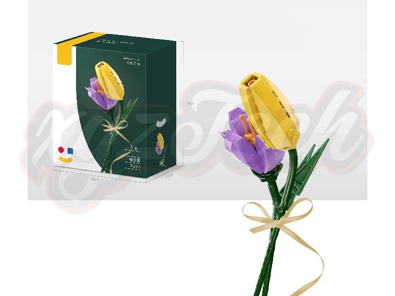 Tulips (two in a box)