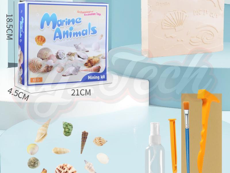 Archaeology Set